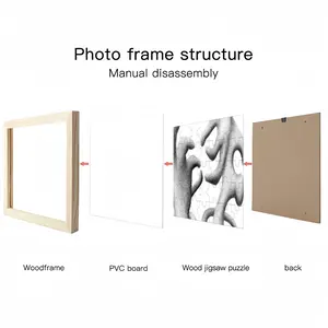 Amorphous Shapes Picture Frame Puzzle