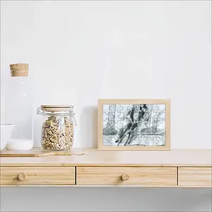 Albert Bike Picture Frame Puzzle