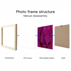 Convexe Picture Frame Puzzle