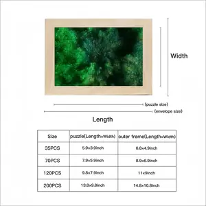 Growth 46 Seconds Picture Frame Puzzle