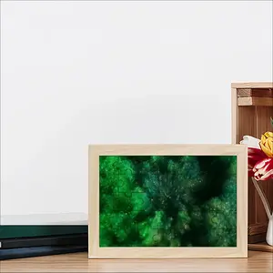 Growth 46 Seconds Picture Frame Puzzle