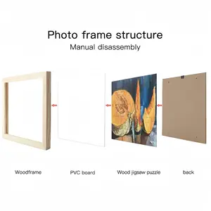 Reflexes Picture Frame Puzzle