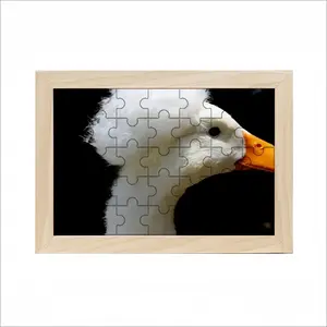 Donald Duck Trump Picture Frame Puzzle