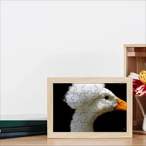 Donald Duck Trump Picture Frame Puzzle