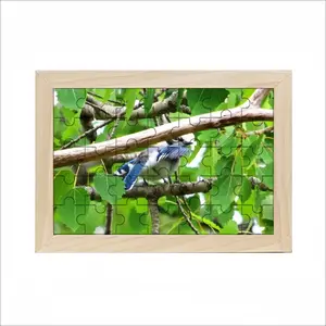 Blue Jay Peek-A-Boo Picture Frame Puzzle