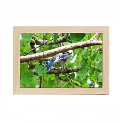 Blue Jay Peek-A-Boo Picture Frame Puzzle