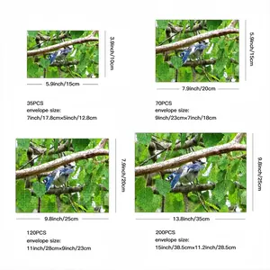 Blue Jay Peek-A-Boo Picture Frame Puzzle