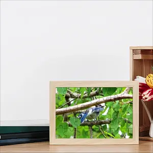 Blue Jay Peek-A-Boo Picture Frame Puzzle