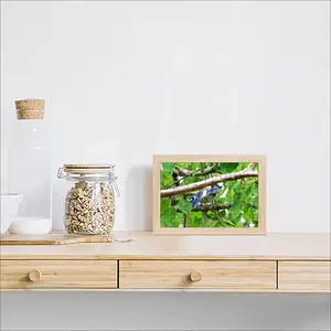 Blue Jay Peek-A-Boo Picture Frame Puzzle