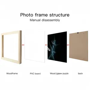 Traveling Picture Frame Puzzle