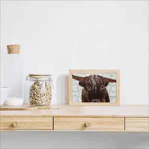 Bull - Red Bull Taurus Animals Buffalo Wild Picture Frame Puzzle