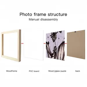 Space 30 - Systems Picture Frame Puzzle