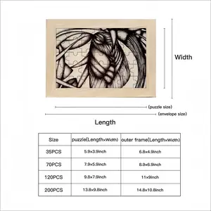 Attraction 3 Picture Frame Puzzle