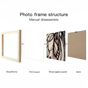 Attraction 3 Picture Frame Puzzle