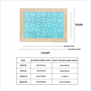 Silent Explorer Picture Frame Puzzle