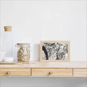 Smooch Picture Frame Puzzle