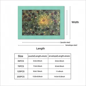 Coexistence Envelope Puzzle