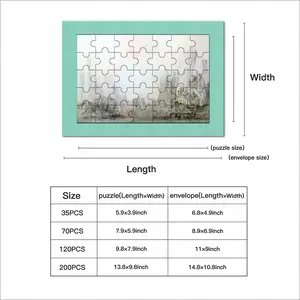 Megacity And Seagull Envelope Puzzle