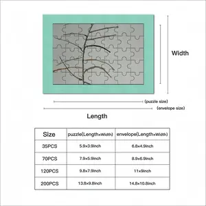 Plant Envelope Puzzle