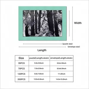 Pathway Through The Forest Envelope Puzzle