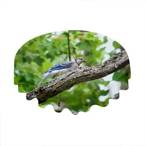 Blue Jay Show Off Tablecloth (Round)