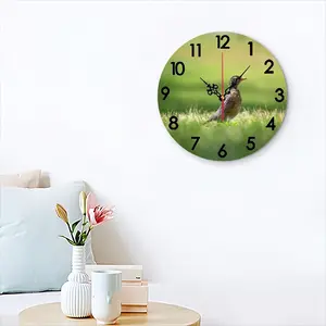 Bird In High Park Grass Wall Clock