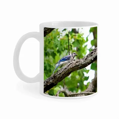 Blue Jay Show Off Mug Cup