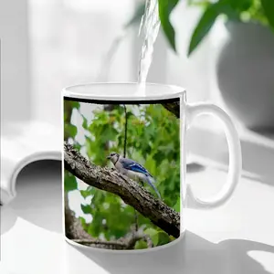 Blue Jay Show Off Mug Cup