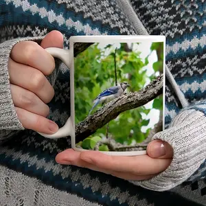 Blue Jay Show Off Mug Cup