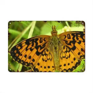 Beautiful New Hampshire Butterfly Retro Iron Painting (Horizontal)