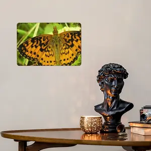 Beautiful New Hampshire Butterfly Retro Iron Painting (Horizontal)