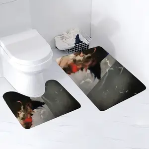 -P- Toilet Mats (Multi-Size)