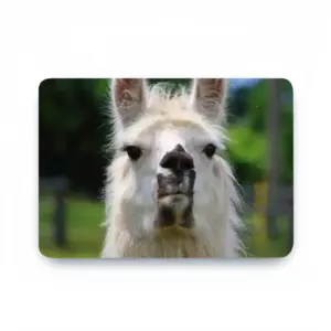 Llama Look MacBook Pro 13 Case