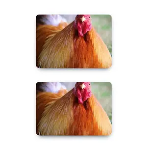 Rooster Stare Down MacBook Pro 13 Case