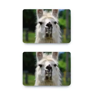 Llama Look MacBook Pro 13 Case