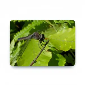 New Hampshire Dragon Fly MacBook Pro 13 Case