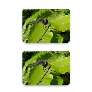 New Hampshire Dragon Fly MacBook Pro 13 Case