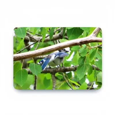 Blue Jay Peek-A-Boo MacBook Pro 13 Case