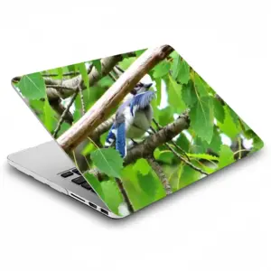 Blue Jay Peek-A-Boo MacBook Pro 13 Case