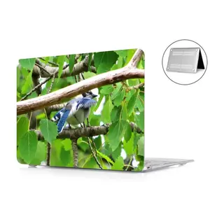 Blue Jay Peek-A-Boo MacBook Pro 13 Case