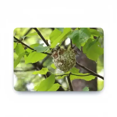 Baby Bird In A Nest MacBook Pro 13 Case