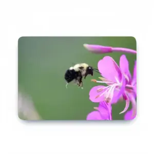 Bee Full Of Pollen MacBook Pro 13 Case