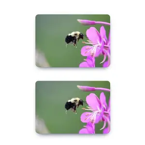 Bee Full Of Pollen MacBook Pro 13 Case