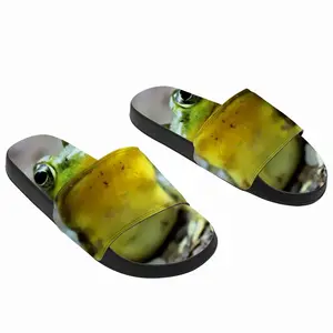 Men Green Frog Chillin Slip On Slippers