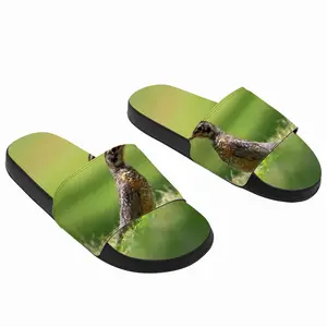 Men Bird In High Park Grass Slip On Slippers