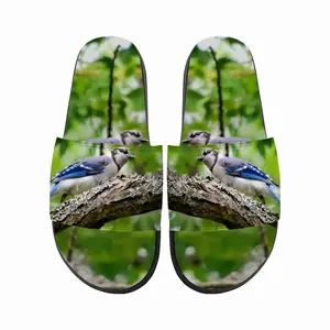 Men Blue Jay Show Off Slip On Slippers