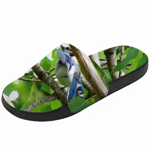 Men Blue Jay Peek-A-Boo Slip On Slippers