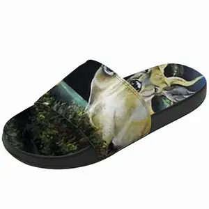 Men Sambars Slip On Slippers