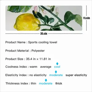 Lemon Branch Sports Quick Drying Towel