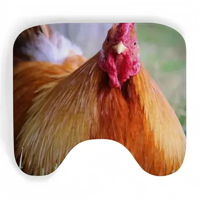 Rooster Stare Down Toilet Bowl Mat